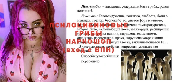 ГАЛЛЮЦИНОГЕННЫЕ ГРИБЫ Красноперекопск