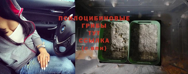 дживик Куйбышев